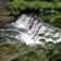 Photo of NYC walks: Nature, beauty, & peace group